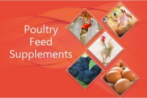 Poultry Feed Supplements
