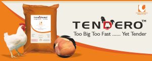 TENDERO-product