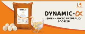 Dynamic Alpha for poultry - vitamin d booster for poultry