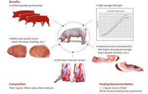 Metalean - Lean Meat For Swine