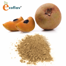 Vinayak Corporation - ECOFLAV - SAPOTA (Cheeku) Powder Manufacturer in India - Natural Fruit Color Powder Manufacturer in India - Cheeku Powder Supplier