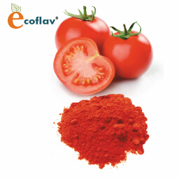 Vinayak Corporation - ECOFLAV - Tomato Vegetable Powder Manufacturer in India - Vegetable Powder Supplier in India