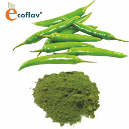 Vinayak Ingredients India Private Limited - ECOFLAV - Green Chilli Powder Manufacturer in India - Spray Dried Chilly Powder Supplier in India