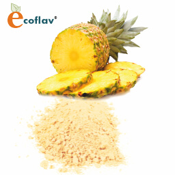 Vinayak Ingredients India Private Limited - ECOFLAV - Spray Dried Pineapple Fruit Powder Manufacturer in India - Pineapple Fruit Powder Supplier in India