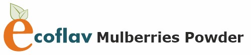 ECOFLAV - Natural Mulberry Powder, Dried Mulberry Fruit Powder, Pure Mulberry Powder, Mulberry Juice Powder Manufacturers, Suppliers in India - Vinayak Ingredients