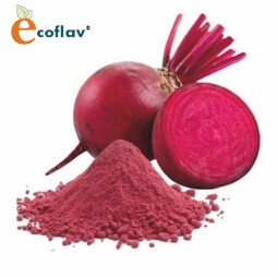 Vinayak Corporation - ECOFLAV - Beet Vegetable Powder Manufacturer in India - Spray Dried Beet Powder Manufacturer in India
