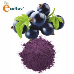 Vinayak Corporation - ECOFLAV - Black Currant Fruit Powder Manufacturer in India - Black Currant Powder Supplier in India