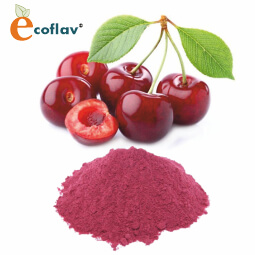 Vinayak Corporation - ECOFLAV - Cherry Fruit Powder Manufacturer in India - Cherry Powder Supplier in India