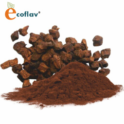 Vinayak Corporation - ECOFLAV - Chicory Vegetable Powder Manufacturer in India - Spray Dried Chicory Powder Manufacturer in India