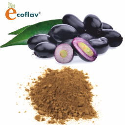 Vinayak Corporation - ECOFLAV - Java Pulm Fruit Powder Manufacturer in India - Jamun Powder Supplier in India