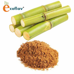 Vinayak Corporation - ECOFLAV - Sugarcane Fruit Powder Manufacturer in India - Sugarcane Powder Supplier in India