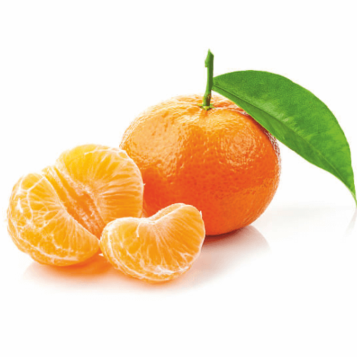 Orange Nature Identical Flavors Manufacturer & Supplier in India - Vinayak Corporation - Fruit Food Color