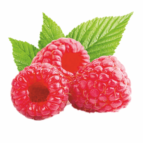 Raspberry Nature Identical Flavors Manufacturer & Supplier in India - Vinayak Corporation - Vegetable Food Color