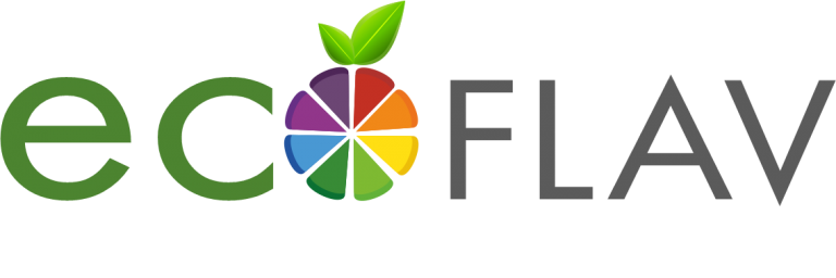 ECOFLAV Natural Food Color - Vinayak Corporation Spray Dried Fruit Powder Manufacturer in Mumbai, India