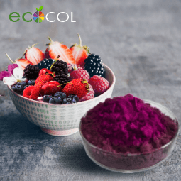 Vinayak Corporation - ECOCOL - Natural Food Colour Manufacturer in India - Anthocyanin Natural Food Color Manufacturer in India