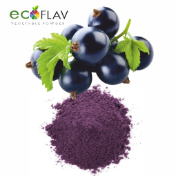 Vinayak Corporation - ECOFLAV - Black Currant Fruit Powder Manufacturer in India - Black Currant Powder Supplier in India