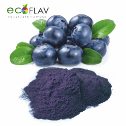 Vinayak Corporation - ECOFLAV - Blueberry Fruit Powder Manufacturer in India - Blueberry Powder Supplier in India
