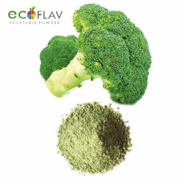 Vinayak Corporation - ECOFLAV - Broccoli Vegetable Powder Manufacturer in India - Spray Dried Broccoli Powder Manufacturer in India