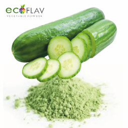 Vinayak Corporation - ECOFLAV - Cucumber Vegetable Powder Manufacturer in India - Spray Dried Cucumber Powder Manufacturer in India
