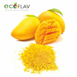 Vinayak Corporation - ECOFLAV - Mango Fruit Powder Manufacturer and Supplier in India - Spray Dried Fruit Powder Manufacturer