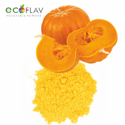 Vinayak Corporation - ECOFLAV - Pumpkin Vegetable Powder Manufacturer in India - Spray Dried Pumpkin Powder Manufacturer in India