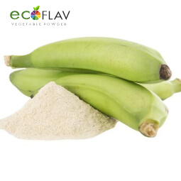 Vinayak Corporation - ECOFLAV - Unripe Banana Fruit Powder Manufacturer in India - Unripe Banana Powder Supplier in India