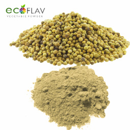 Vinayak Ingredients India Private Limited - ECOFLAV - Coriander Vegetable Powder Manufacturer in India - Spray Dried Coriander Powder Supplier in India