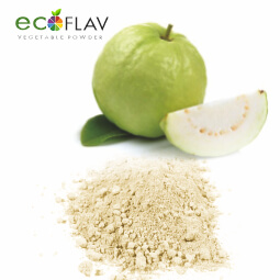 Vinayak Ingredients India Private Limited - ECOFLAV - Spray Dried Guava Fruit Powder Manufacturer in India - Guava Fruit Powder Supplier in India