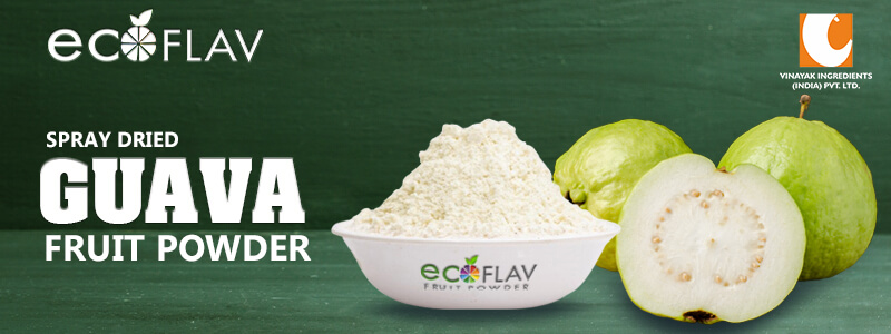 Spray Dried GUAVA POWDER Manufacturer in India - Vinayak Corporation