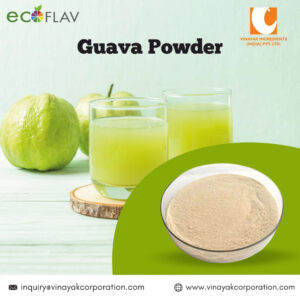 Spray Dried GUAVA POWDER Manufacturer in India - Vinayak Ingredients India Private Limited