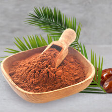Exploring the Sweet Benefits and Versatile Applications of Spray-Dried Date Powder - Vinayak Corporation