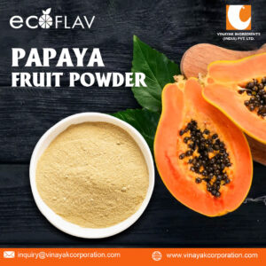 Spray-dried papaya powder. Vinayak Corporation Manufacturer