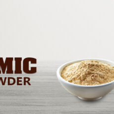 Embracing the Magic of Balsamic Vinegar Powder A Culinary Delight Vinayak Ingredients India Private Limited