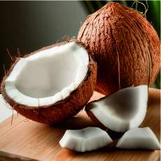 Coconut Fat Powder