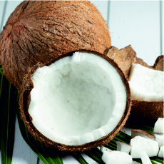 Medium Chain Triglyceride Fat Powder (Mct 50% Fat)