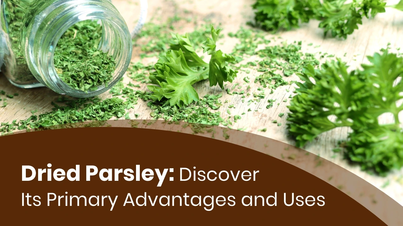Dried Parsley : Discover Its Primary Advantages and Uses 1 Dried parsley by Vinayak Ingredients: Top manufacturer and exporter of natural ingredients