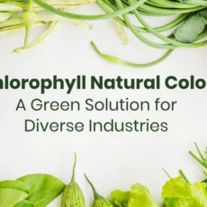 Eco-Friendly-Chlorophyll-Color-Manufacturers-vinayak-ingredients-India-Pvt-Ltd