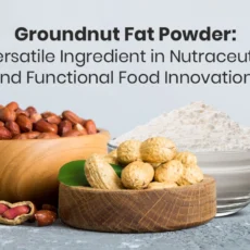 High-quality groundnut fat powder manufacturer for the nutraceutical and food industry, offering premium plant-based fat solutions for various applications.