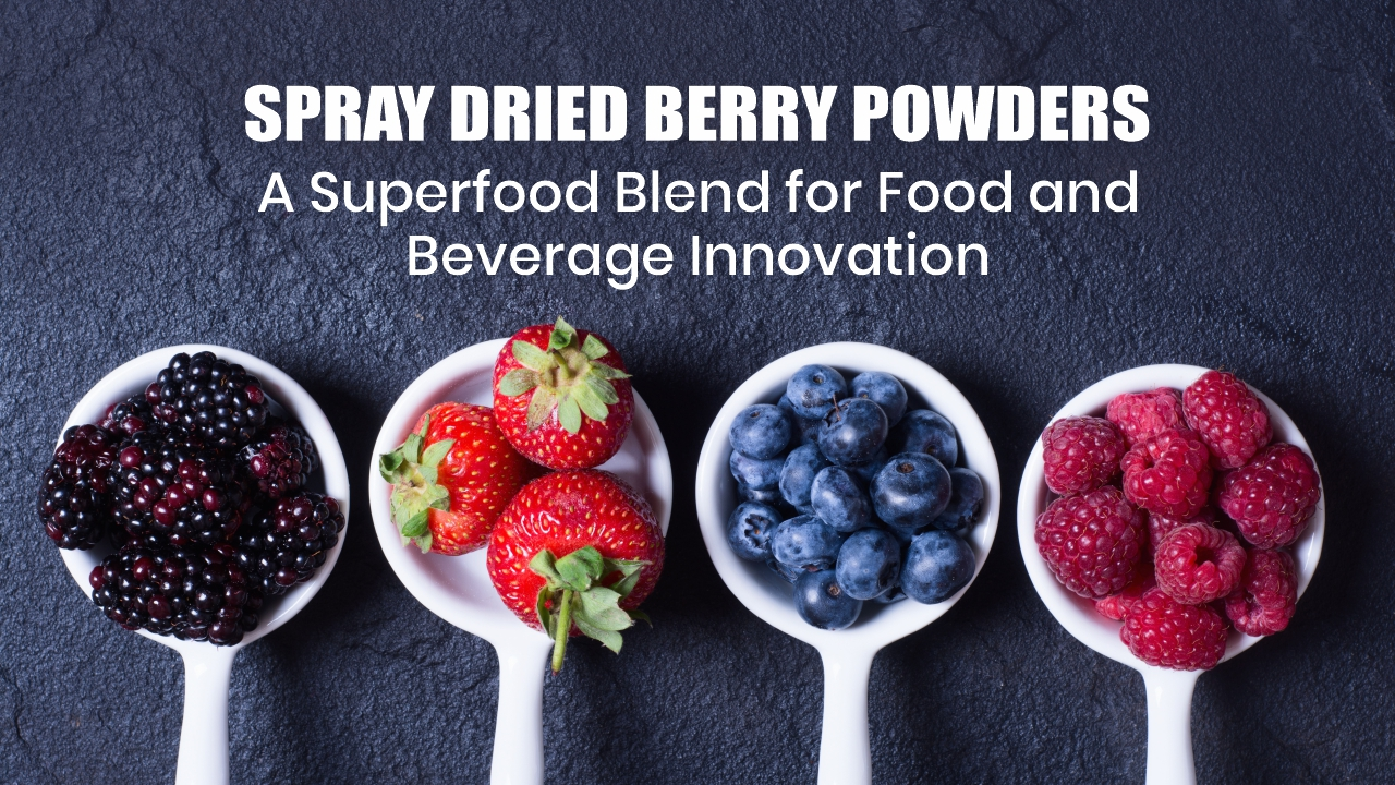 Berry Powder For Beverages – Enhance Flavor & Nutrition | Vinayak ...