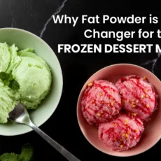 Fat Powder for Frozen Desserts providing smooth texture, creaminess, and stability in frozen treats
