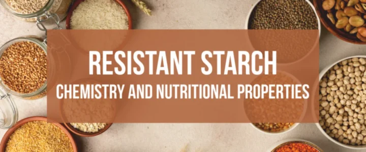 Infographic showing the 5 types of resistant starch (RS1 to RS5) and their health benefits by Vinayak Ingredients.