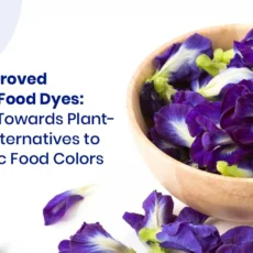 FDA-approved plant-based food dyes replacing synthetic colors in U.S. processed food by Vinayak Ingredients