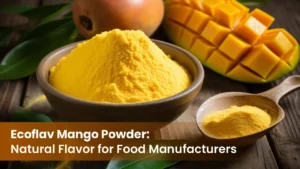 ecoflav mango powder natural flavor for manufacturers