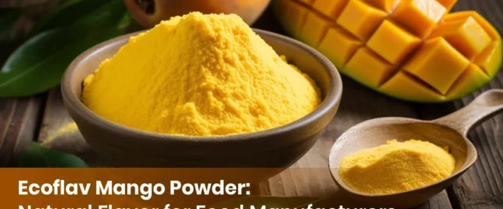Ecoflav Mango Powder: Natural Flavor for Food Manufacturers Ecoflav Mango Powder: Natural Flavor for Food Manufacturers