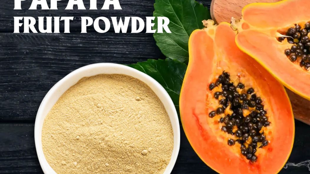 Spray-dried papaya powder. Vinayak Corporation Manufacturer